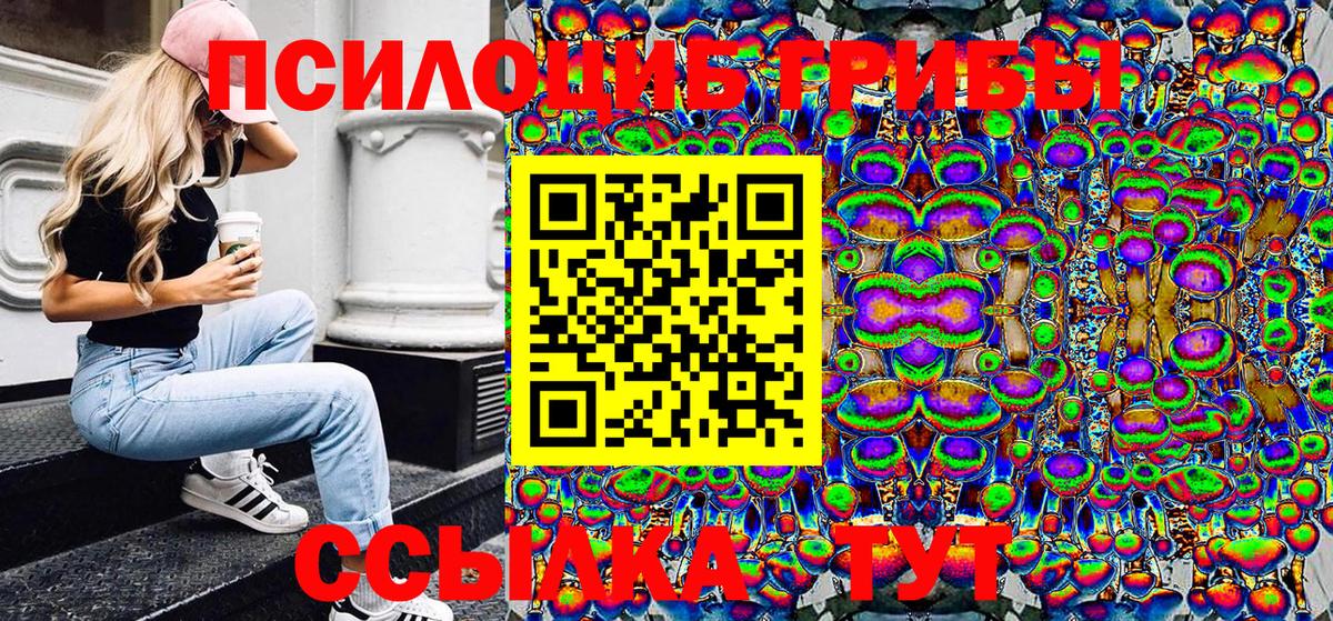 Галлюциногенные грибы прущие грибы Будённовск