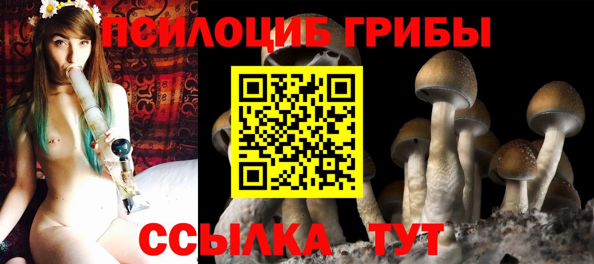 Галлюциногенные грибы GOLDEN TEACHER  Вход с VPN  Будённовск 